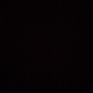 Meet your Posher, Millie